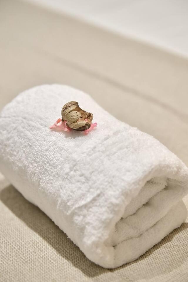 Apartment Romantic Roig Arena N9 Virkin Valencia