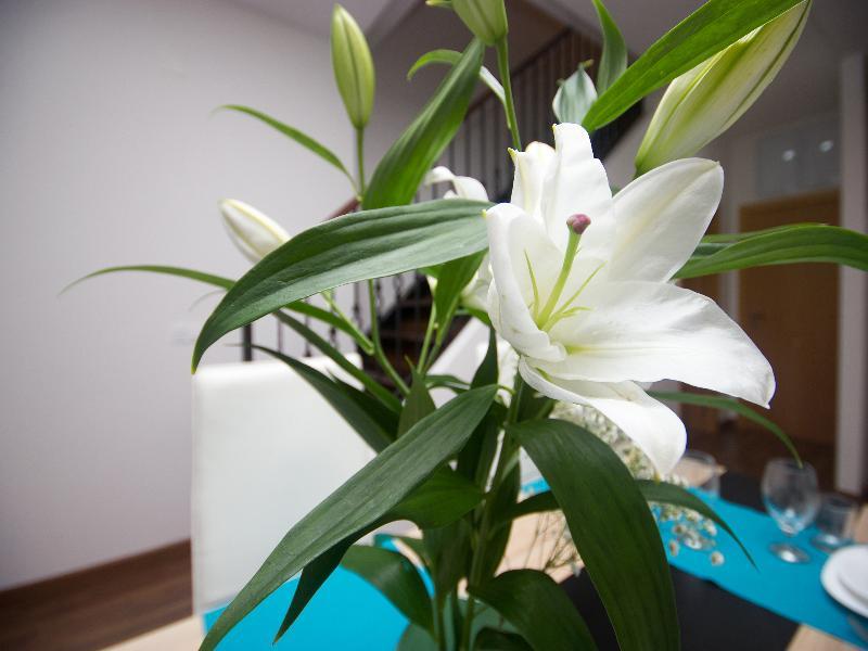 Oyo Style Puerto Appartement