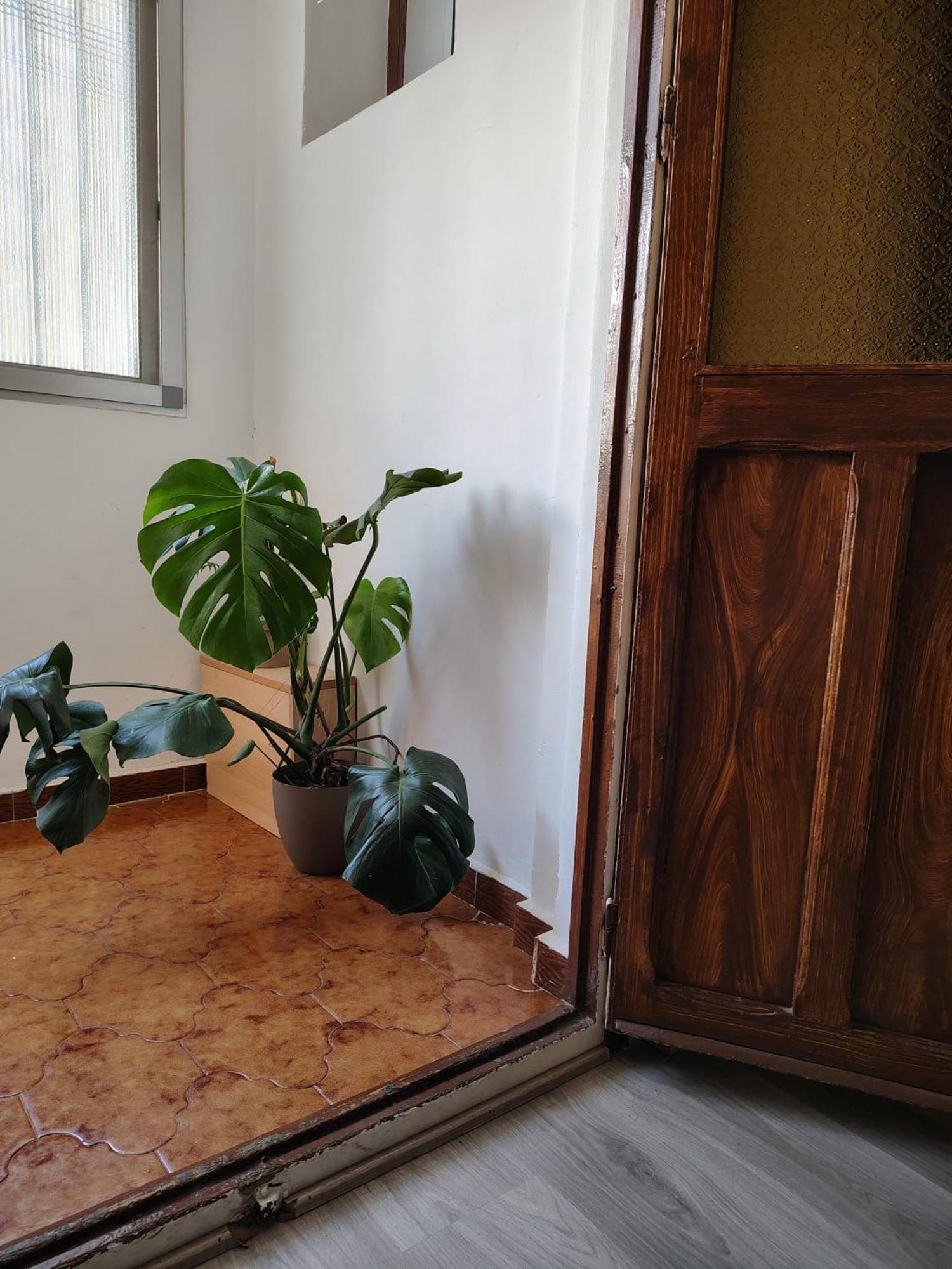 Agui House * Valencia