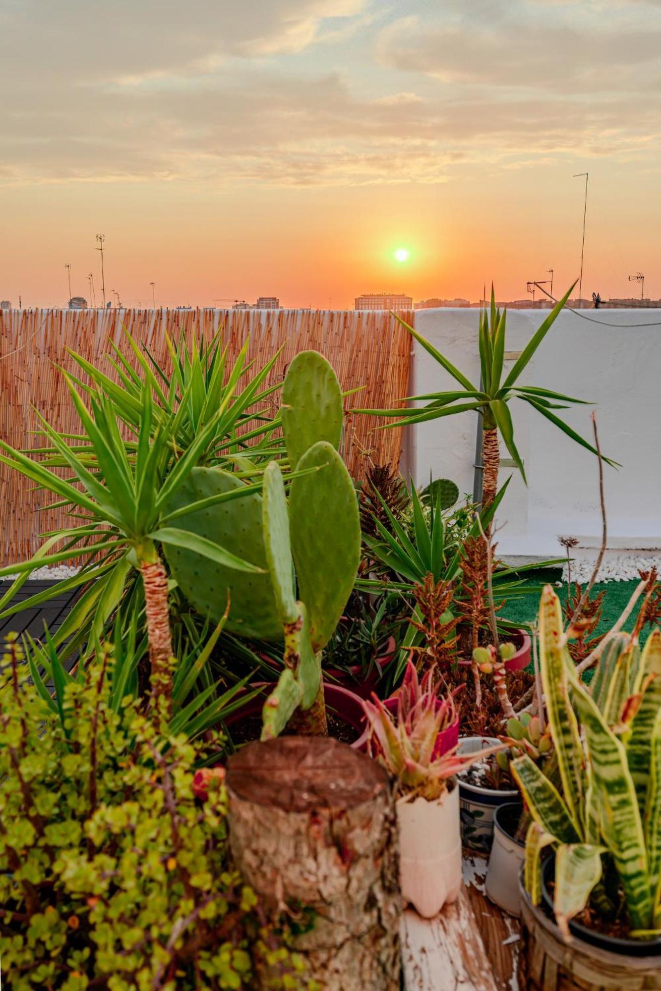 Ayora Penthouse - Jacuzzi, Huge Private Rooftop, Bbq, Sunset Views, Fastwifi, Ac Valencia