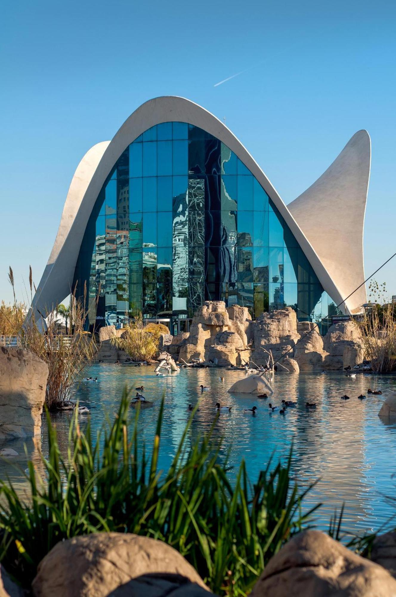 Ciudad De Artes Y Ciencias Aparthotel