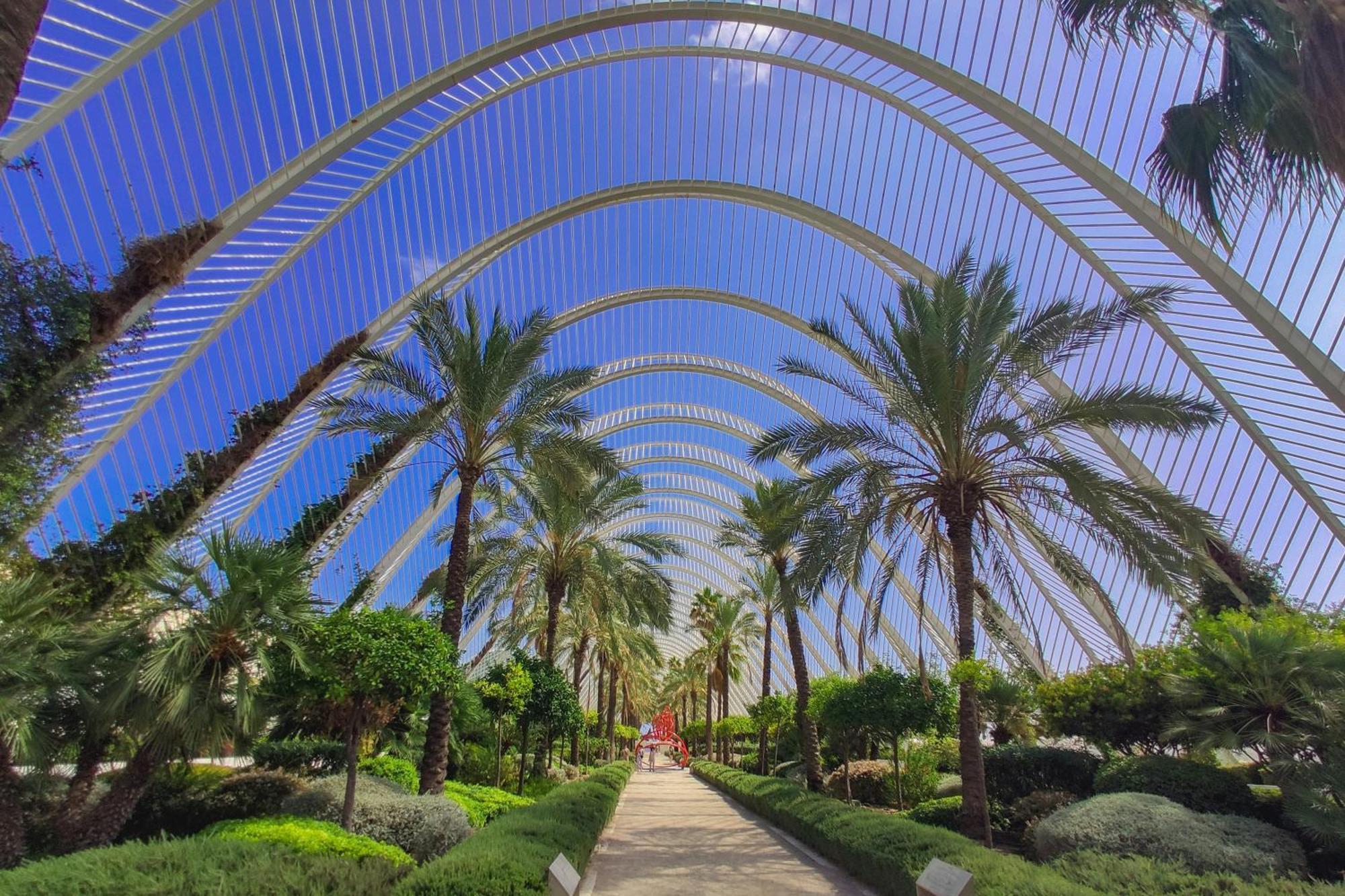 Ciudad De Artes Y Ciencias * Valencia