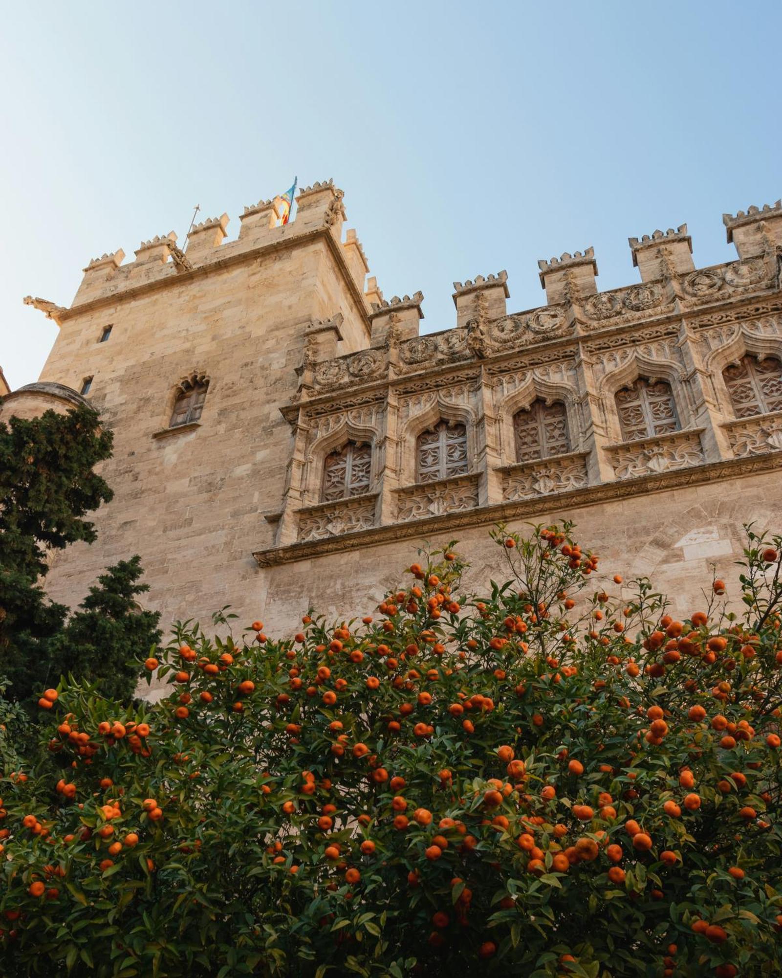 Neobeds - New ! Amazing Charming Cosy 1br * Valencia