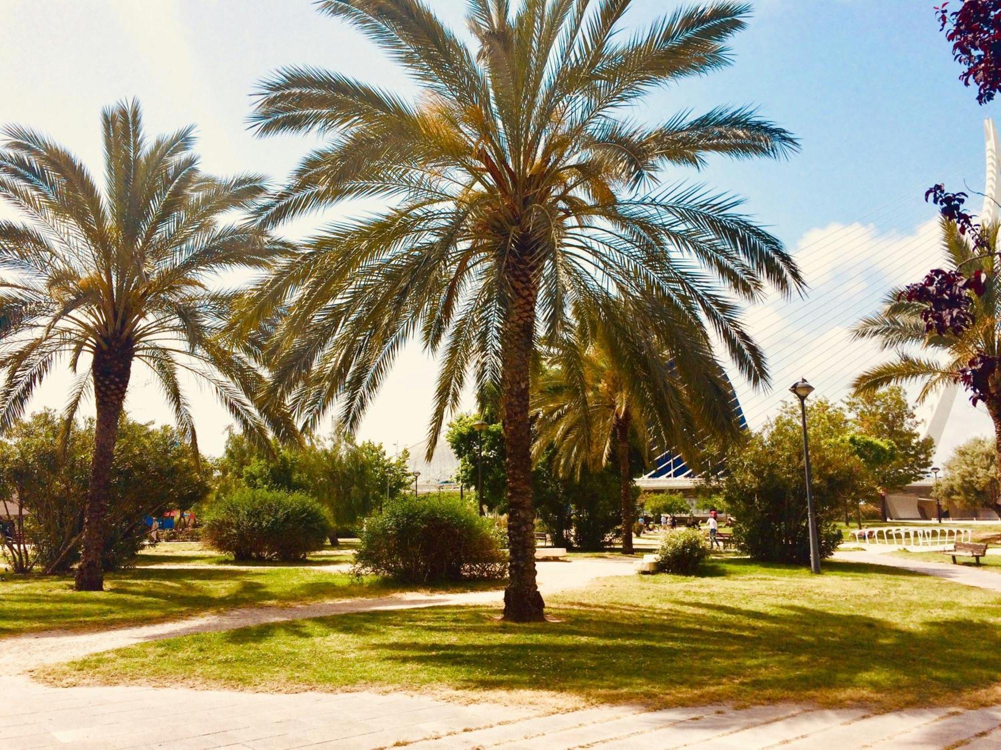 Neobeds - New ! Amazing Charming Cosy 1br Valencia