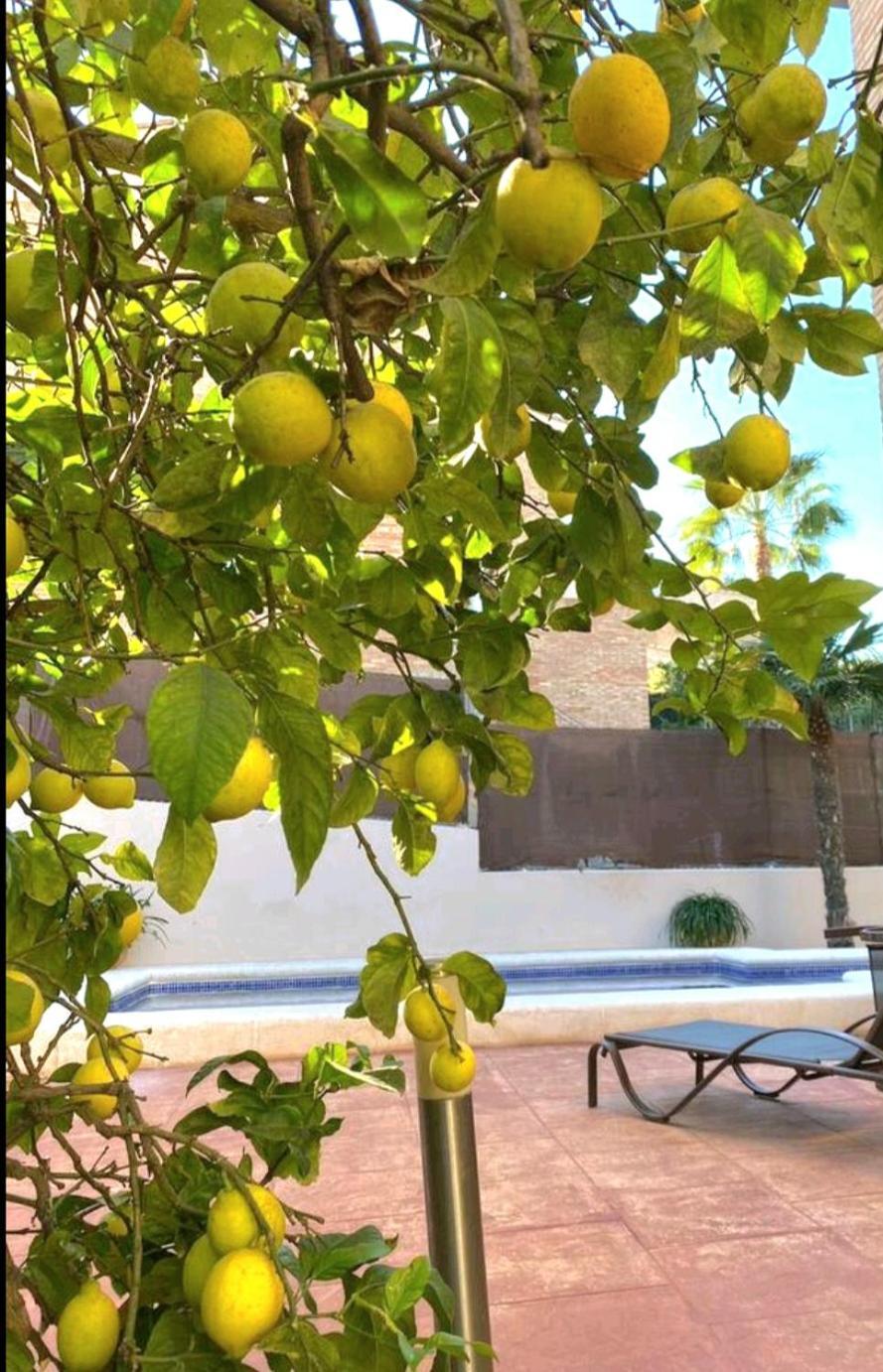 Ferienhaus Casa En Valencia, Cerca De Golf, Playas, Moto Gp Valencia