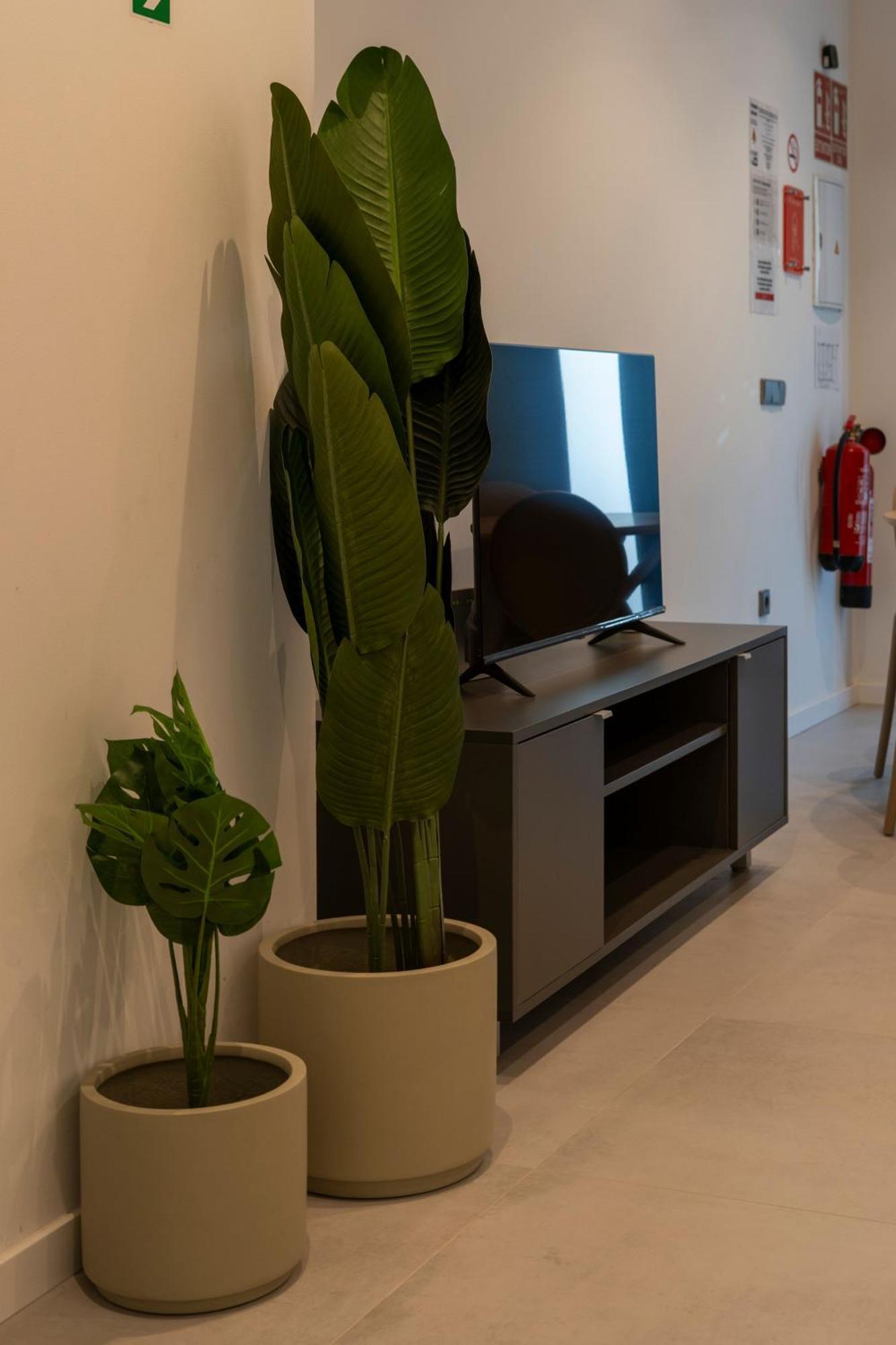 Apartment Vlc Host - Bellvis Valencia