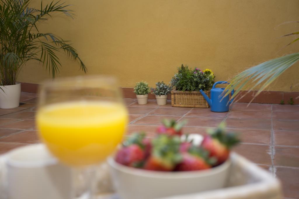 Albergue Singularstays Botanico 29 *