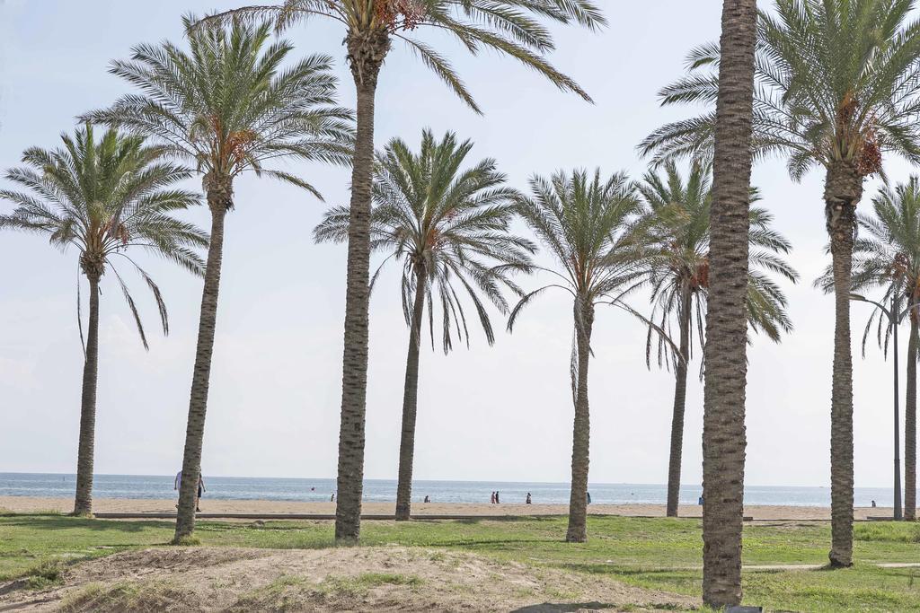 Apartup Patacona Penthouse Appartement