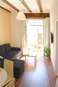 Apartment Down Town *