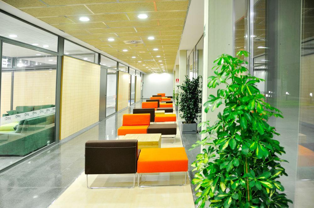 Residencia Universitaria Resa Damia Bonet Appartement Valencia