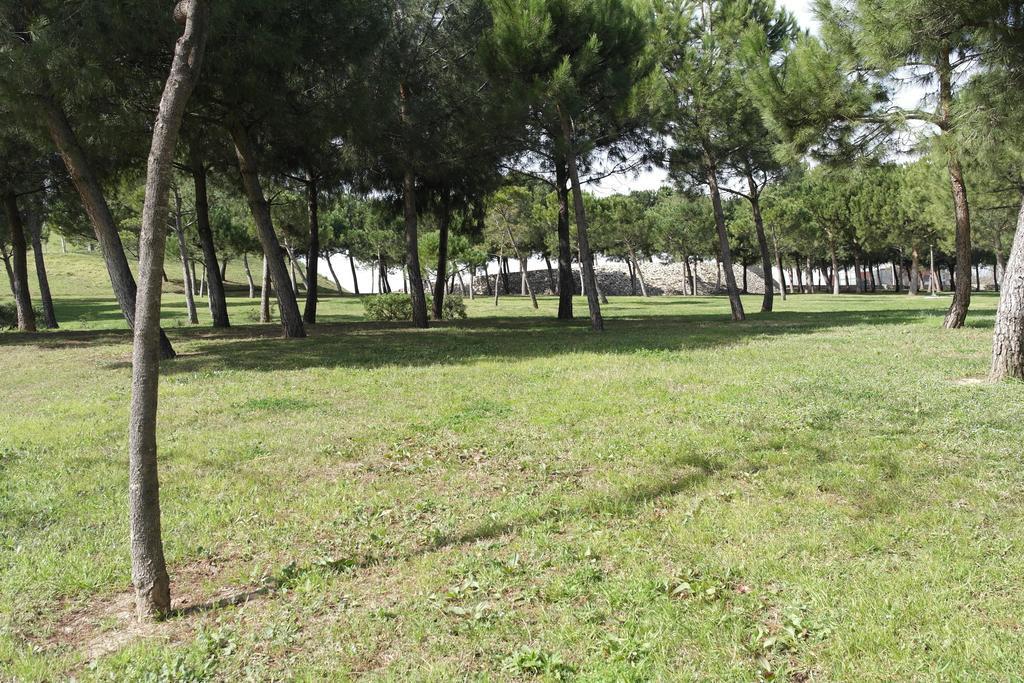 Apartamento Angel Alcazar 35 Apartment *