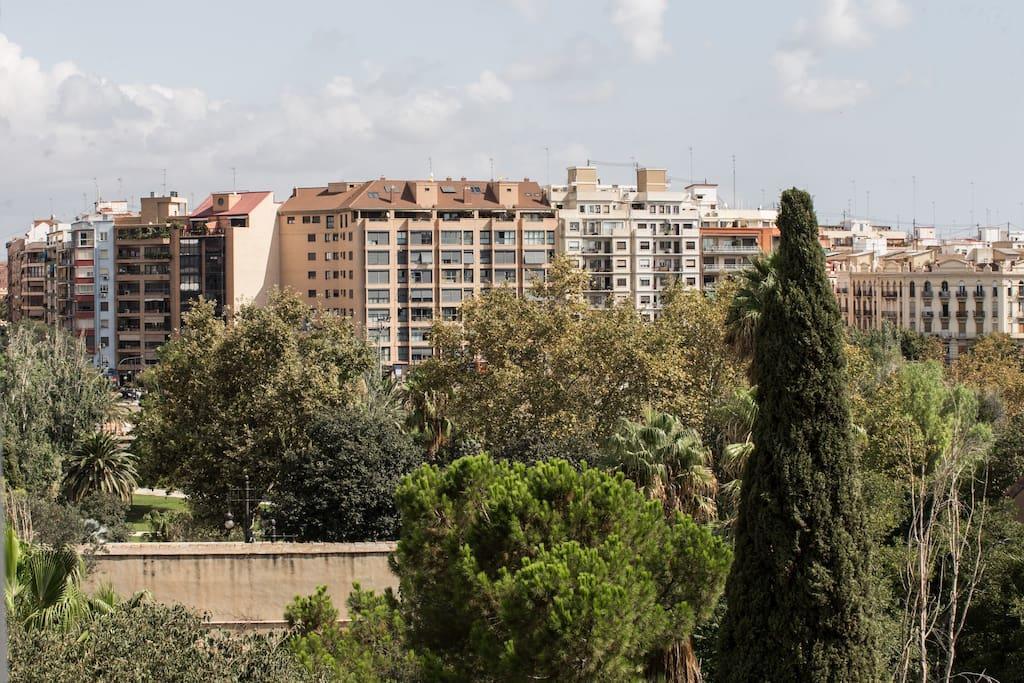 Apartment Apt. Salvador Giner *