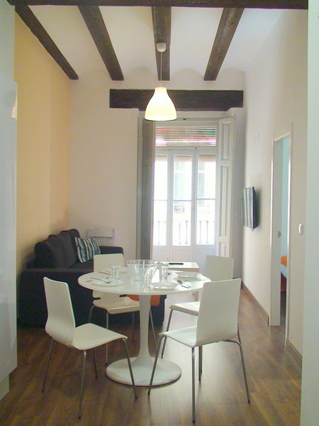Apartment Down Town 13 *