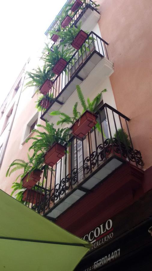 Appartement En Plom *