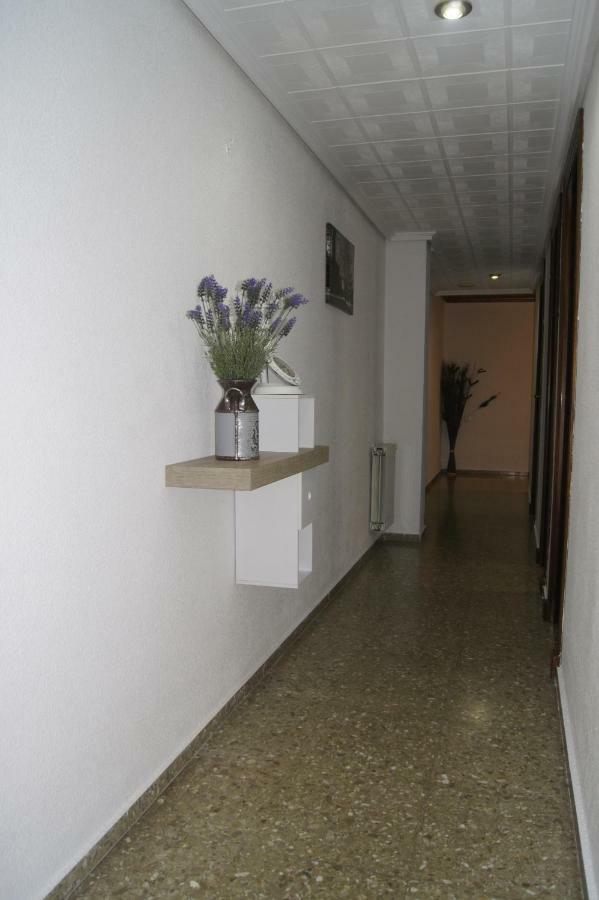 Apt. Salvador Giner * Valencia