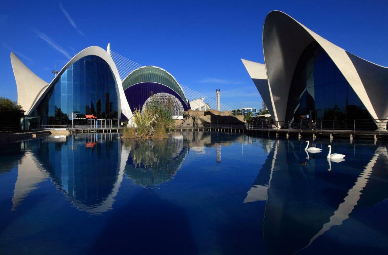 Arrendamiento De Temporada En Ruzafa Valencia