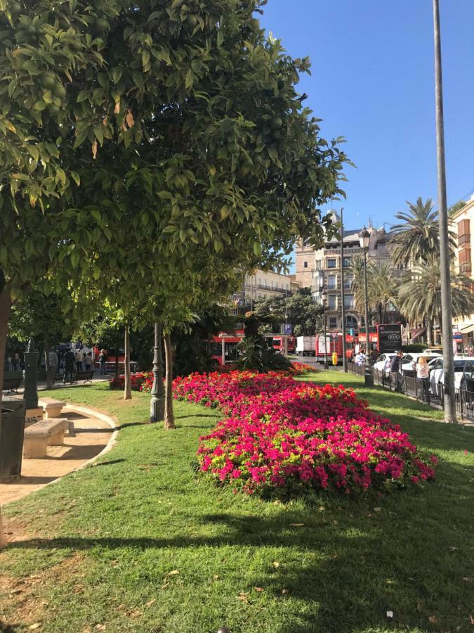 Apartamento Doctor Oloriz,31,9