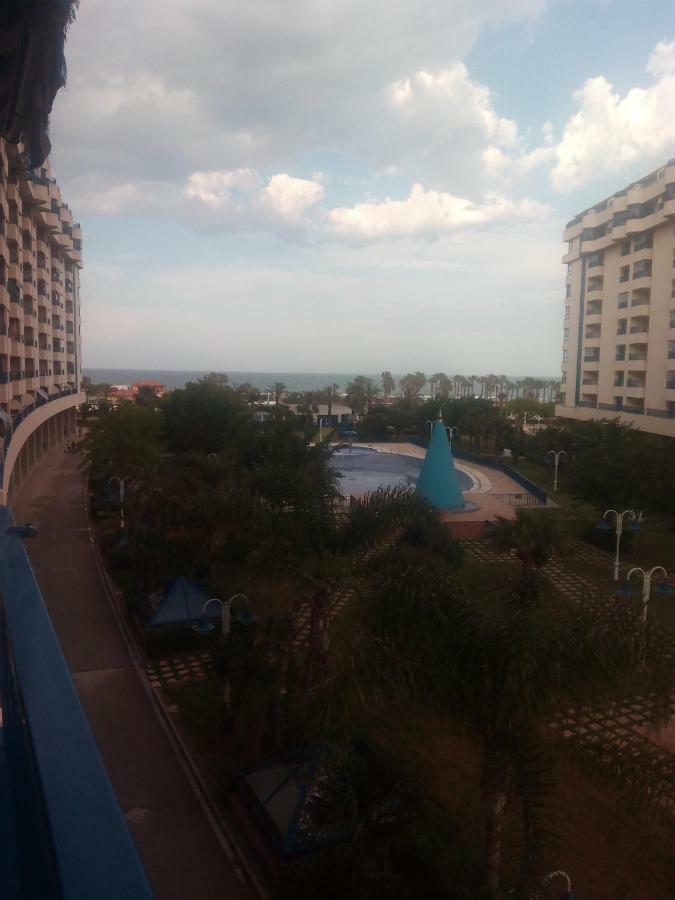 Patacona Mare Nostrum
