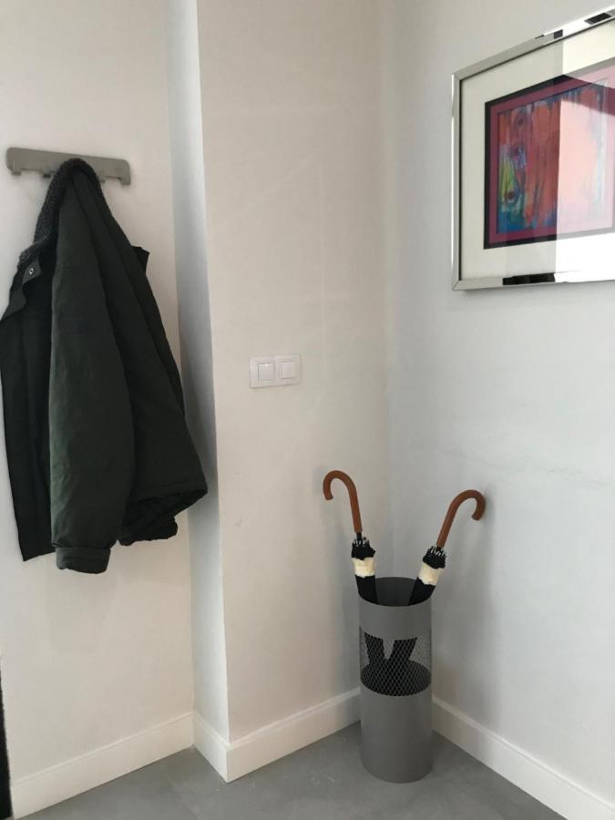 Apartment New! Renovated, Centrally Located, Private Entrance, Terrace