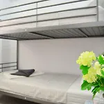 New Apartment Bioparc