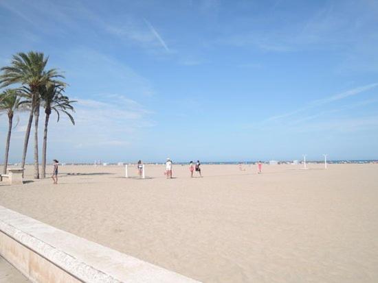 New In The Valencia