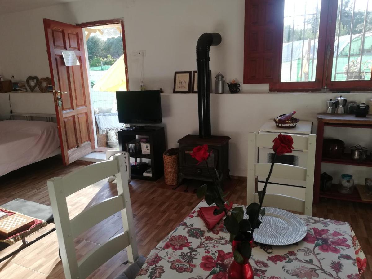 Apartment Country Side Loft