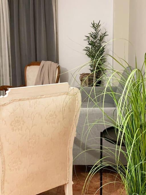 In Spacious Flat In Appartement