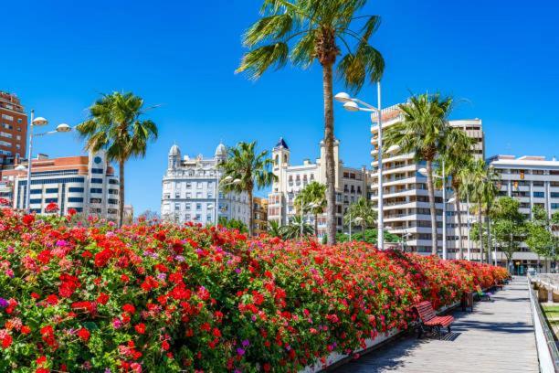 Bruno&playa De Appartement