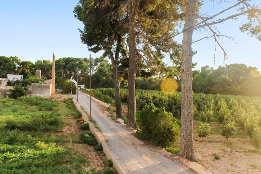 Huerto Valenciano - Sol Y Tranquilidad - Piscina Holiday home