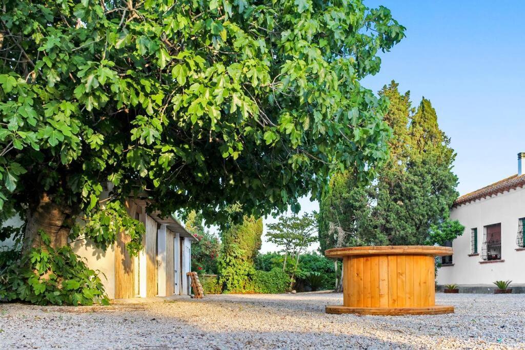 Holiday home Huerto Valenciano - Sol Y Tranquilidad - Piscina