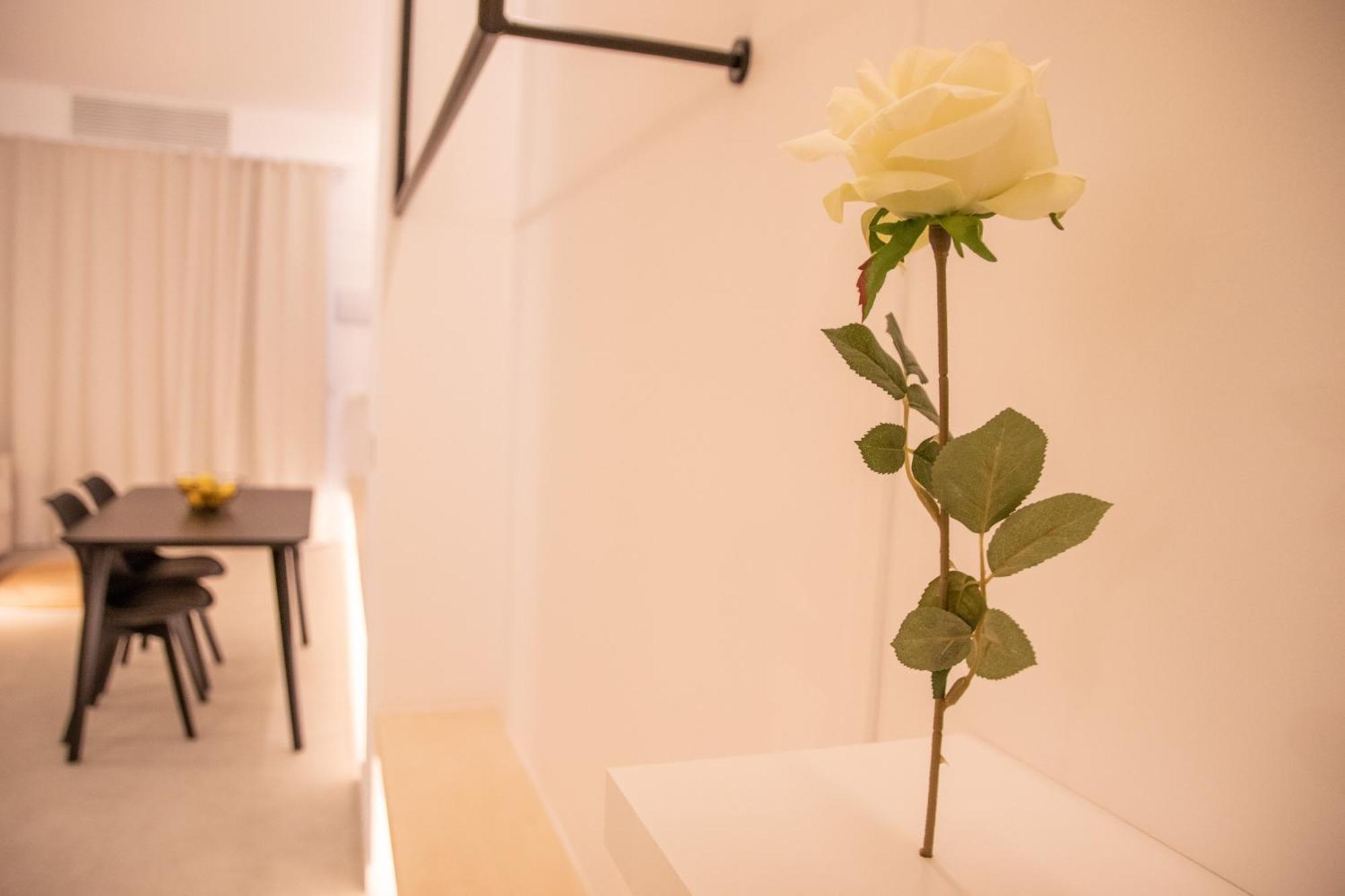 Breathe By Concept Flats Valencia