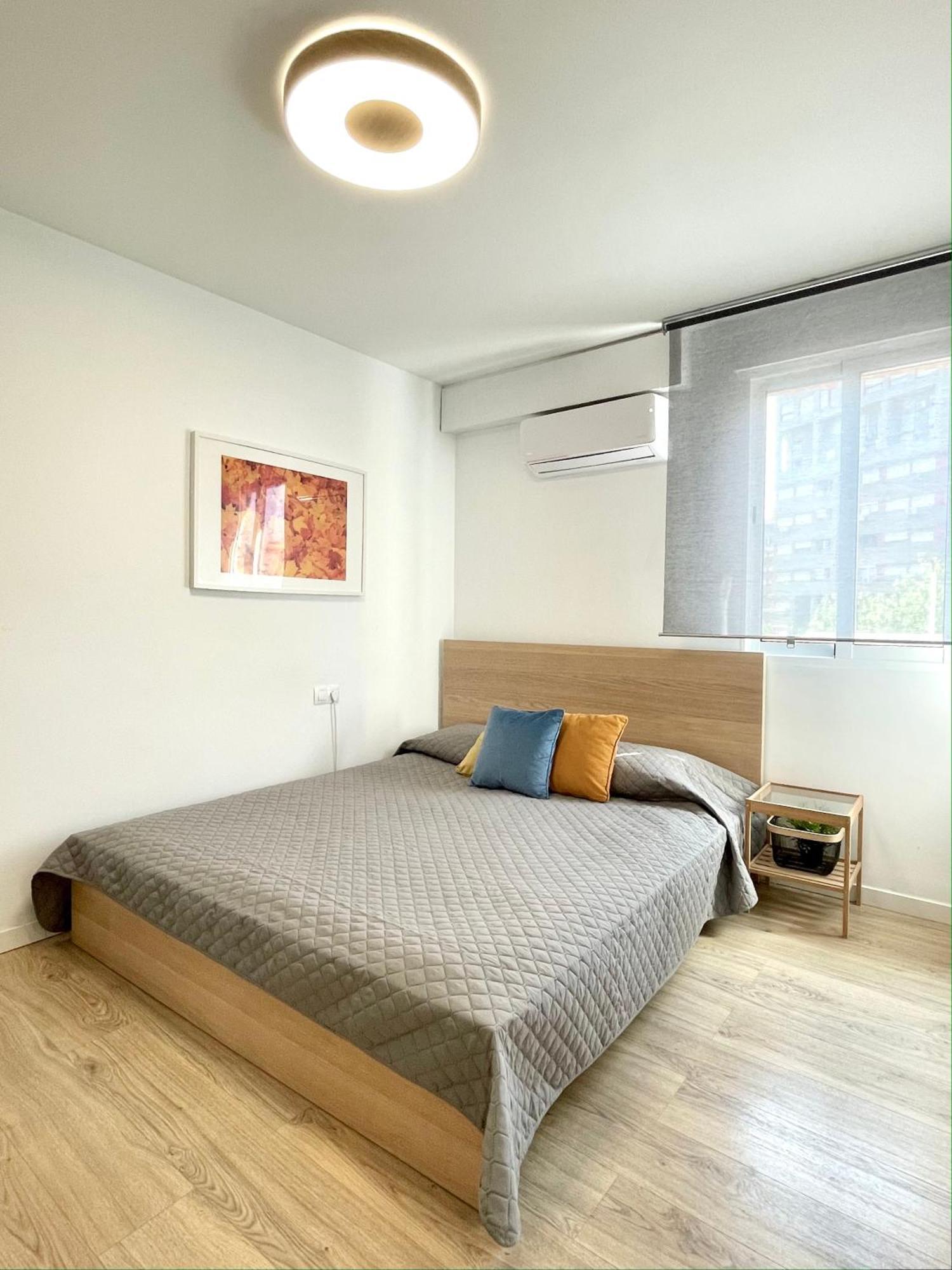 Apartment Spacious, Sunny Flat By Of Arts & Sciences