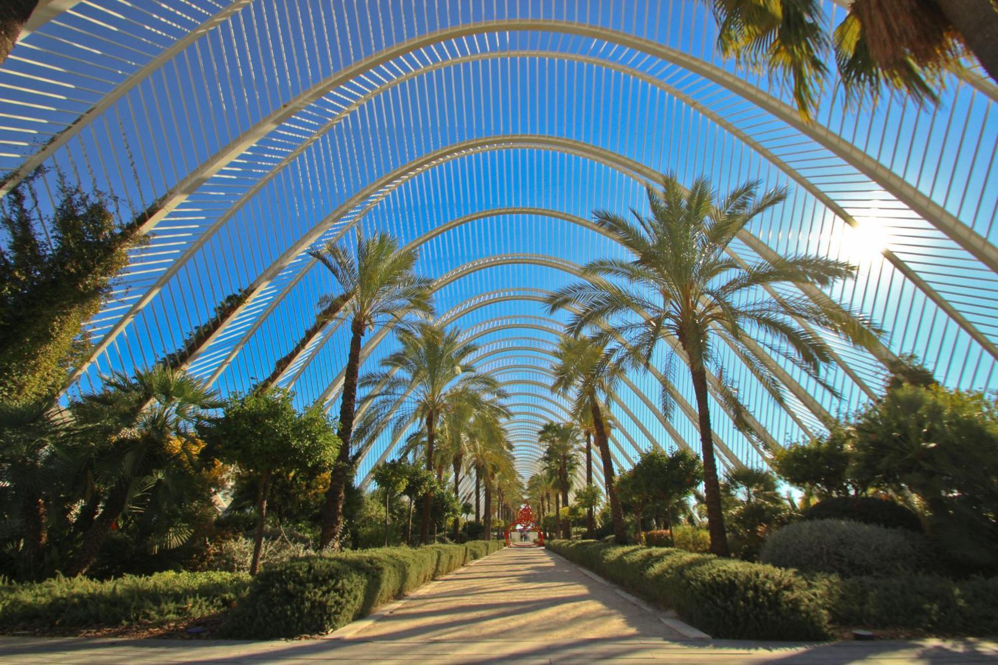Mediterraneum D Apartment