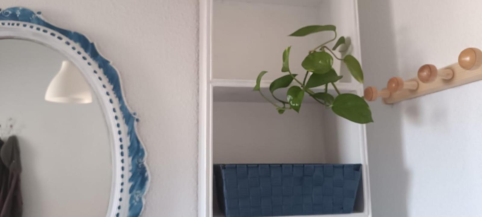 Blue Double Private At Front - Doble En La Playa Accommodatie bij particulieren