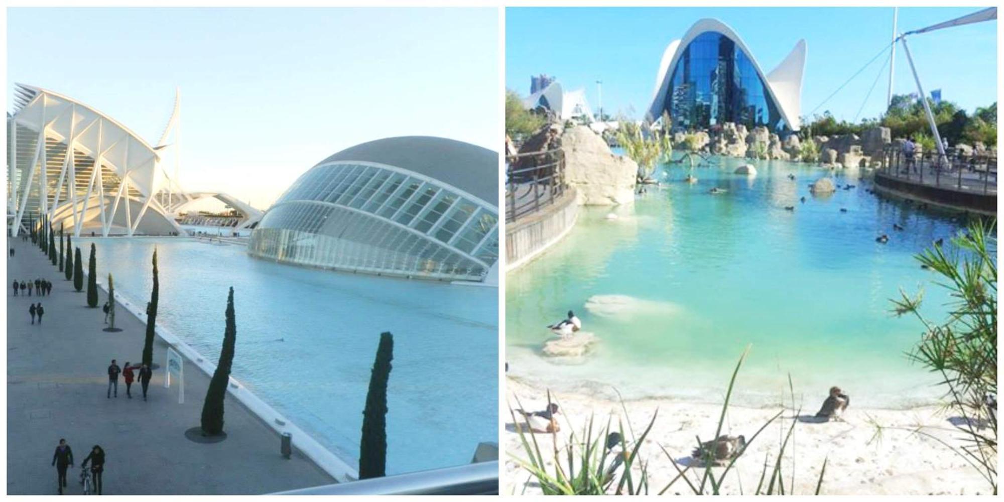 Viviendaturisticavalencia A4a5 Arena Roig * Valencia
