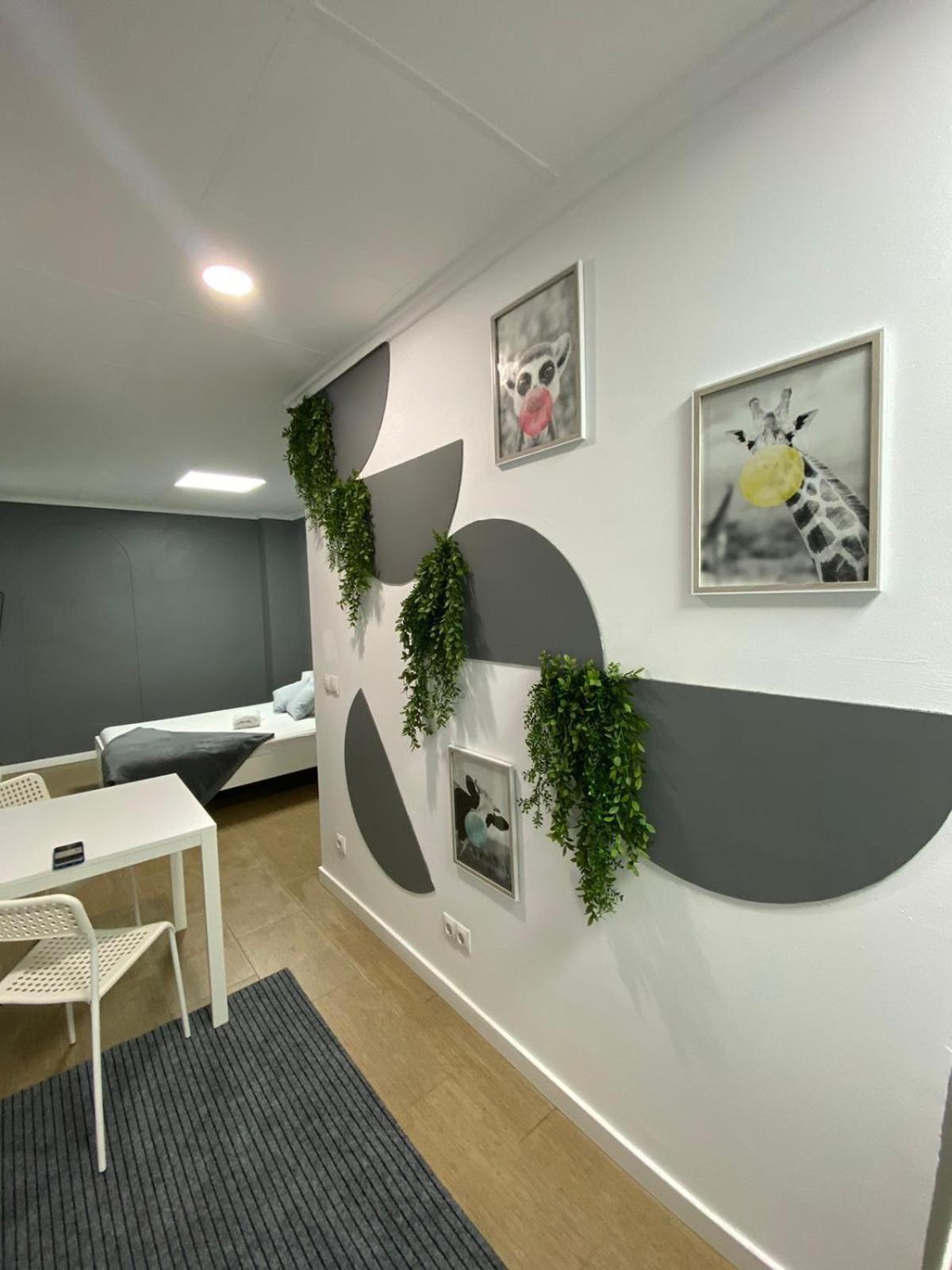 Optimus Comfort Pensión Valencia