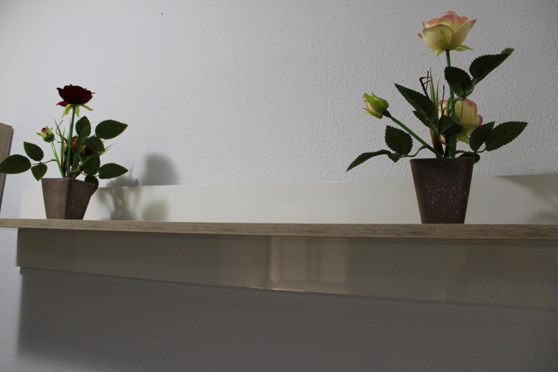 Maria Montessori, Pedagoga Apartment Valencia