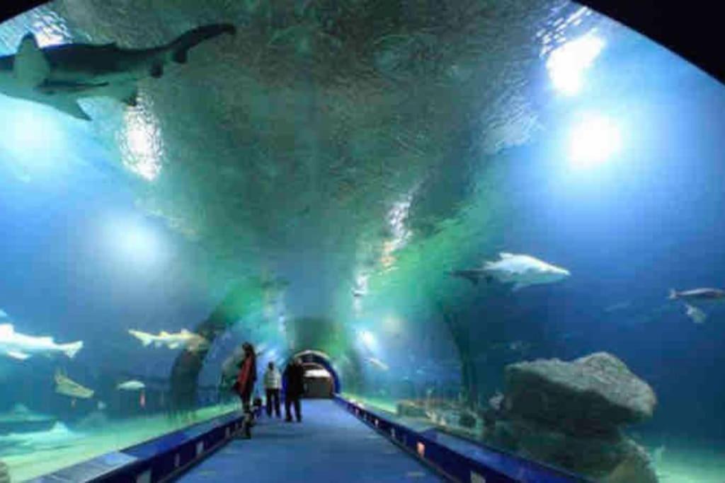 Ruzafa Experience Oceanografic Ciencias Apartment *