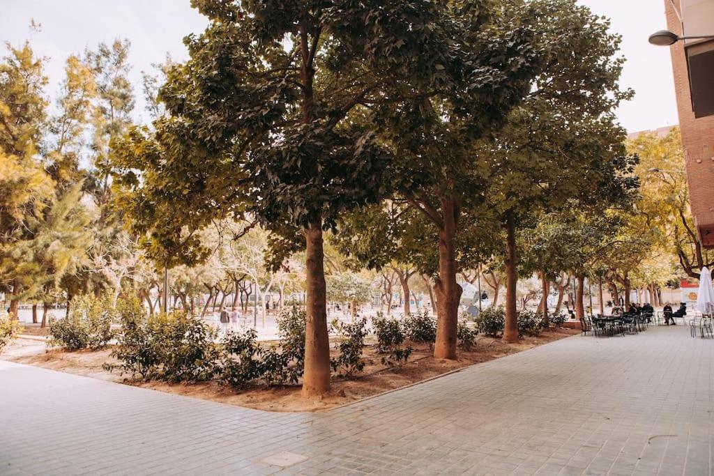 Parc Mint * Valencia