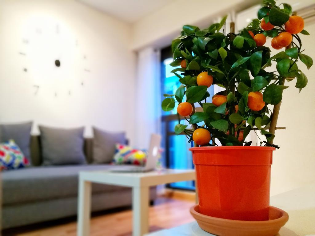 Apartment Spain Host San Vicente Valencia