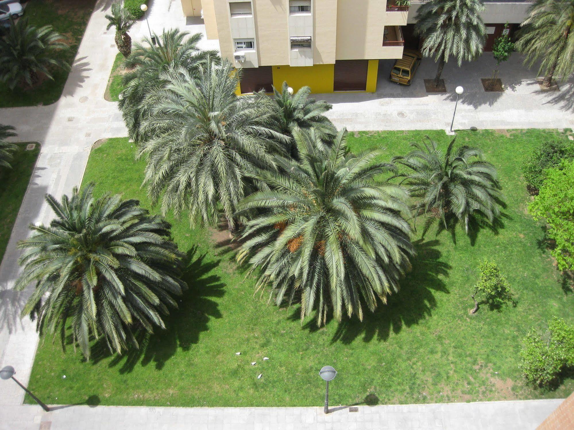 Plaza Picasso Apartment *
