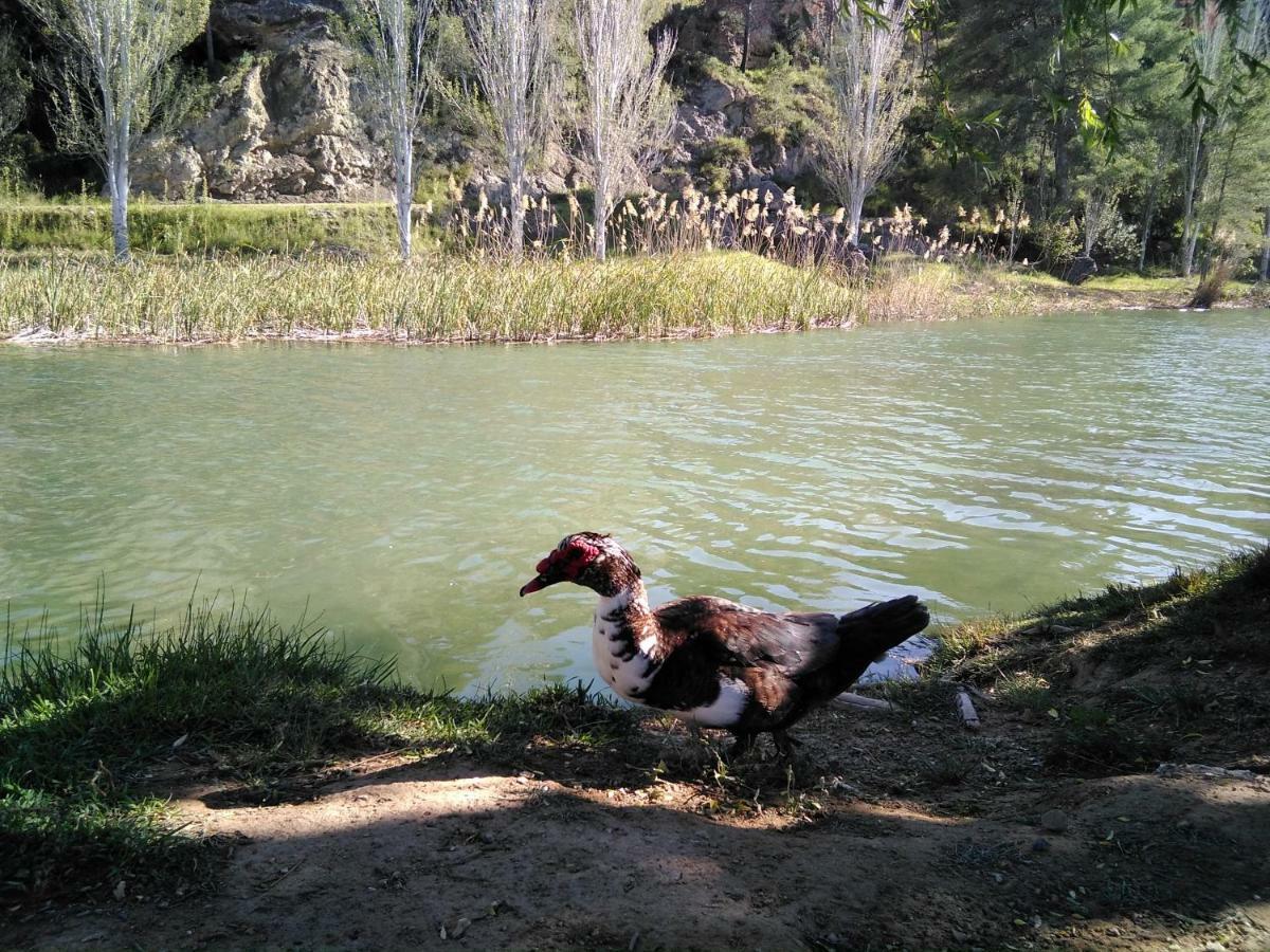 Adosado, Cerca De En Zona De Montana Y Playa Fluvial *