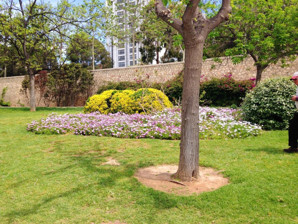Modern In 90 M² Wheelchair Access Apartment