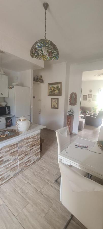Homestay Valencia
