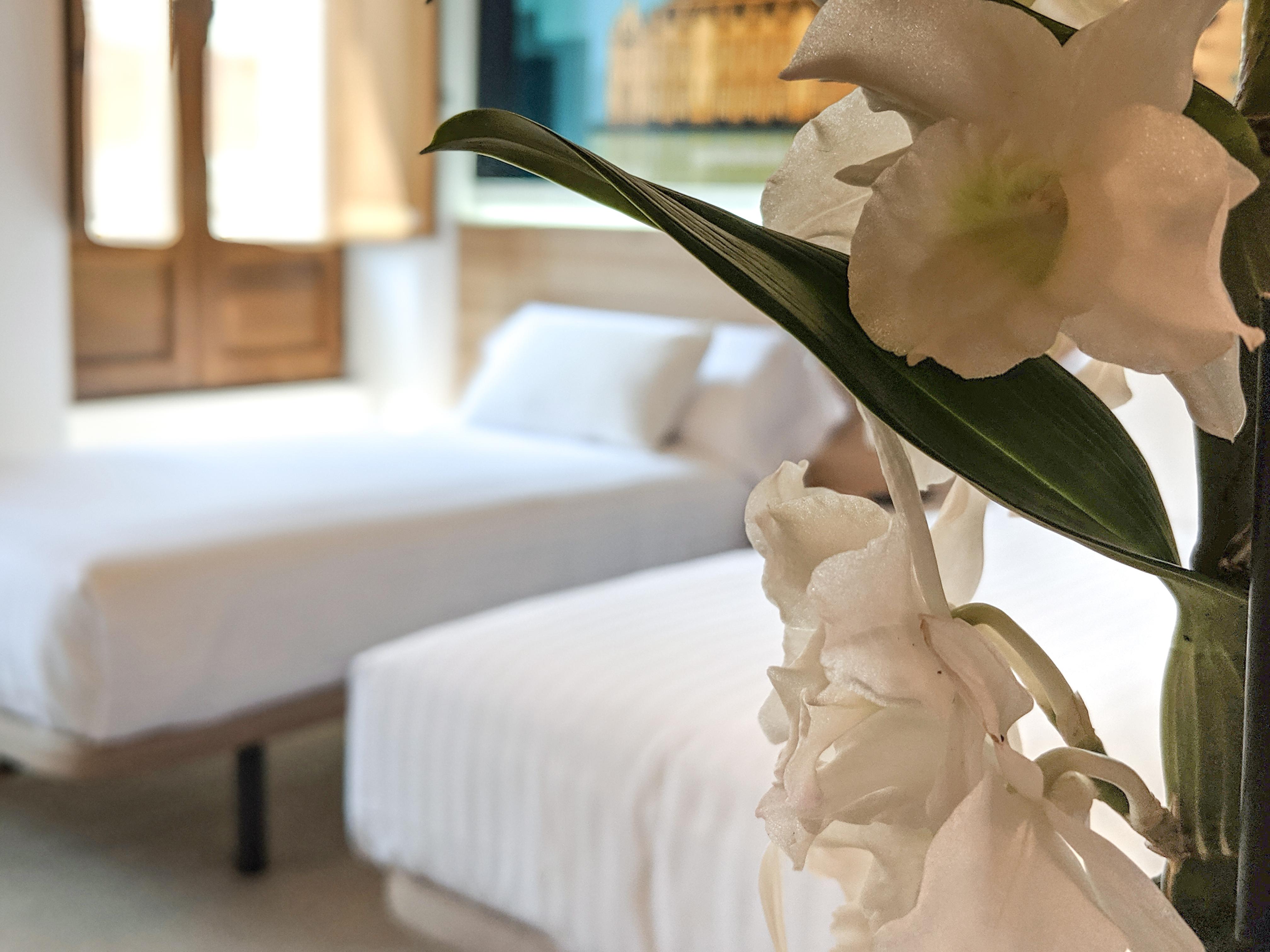 Guest house Original Domino House 3*