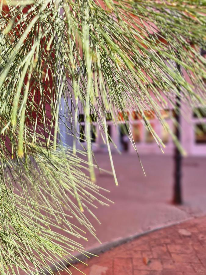 Apartment Lounge Garden Sea Relax Valencia