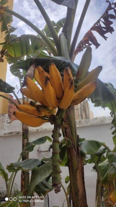 Precioso Con A/a En Ruzafa Con Terracita Privada Y Acceso A Un Jardin, 2-3 Personas Apartment *