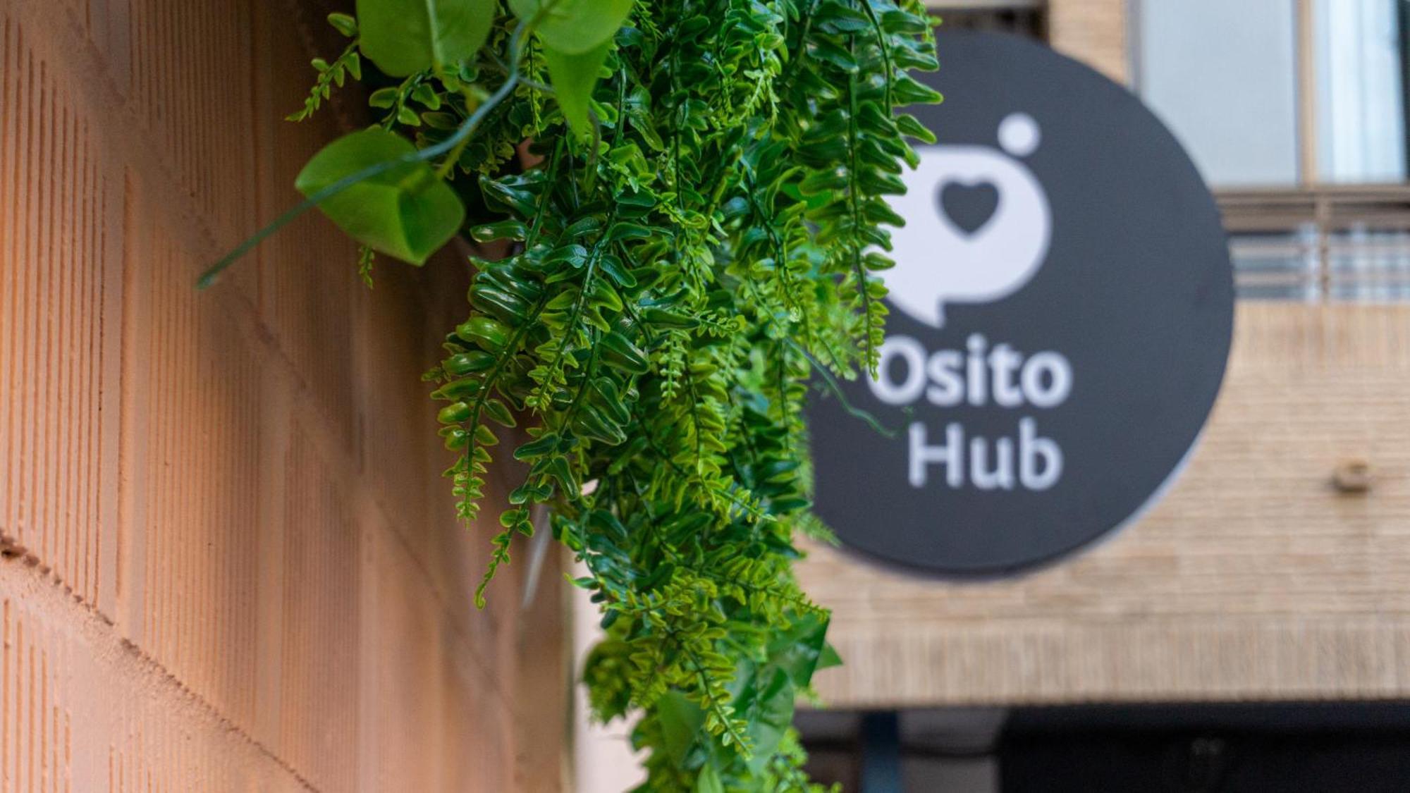 Apartment Natural Loft Osito Hub A Valencia