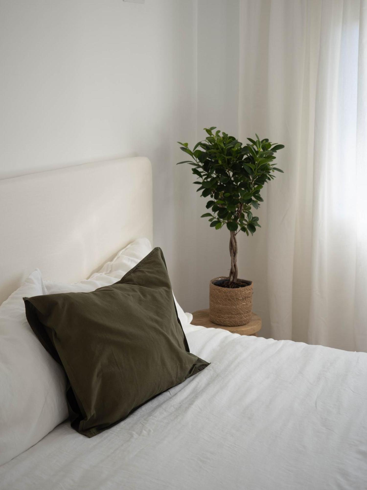 Habitación en casa particular Luxury In Center