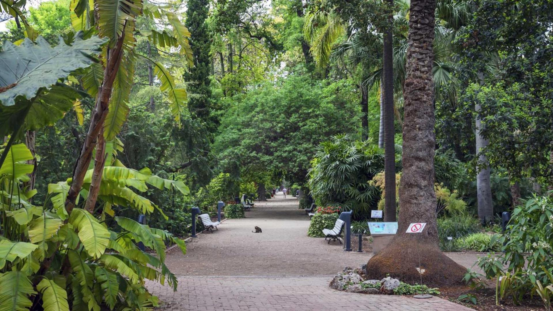 Luxotica Gardens